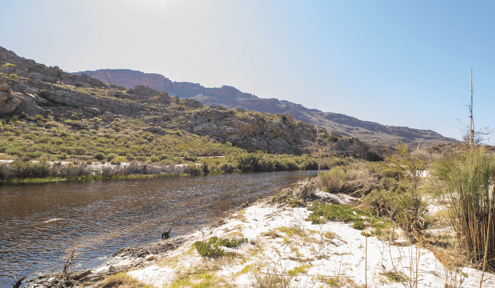 cederberg riviere