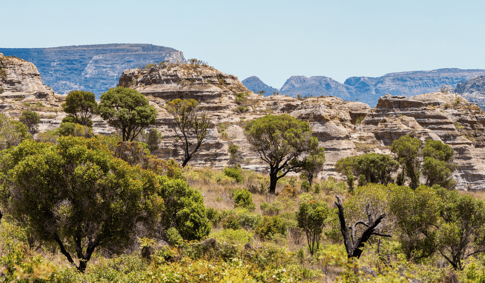 Isalo national park