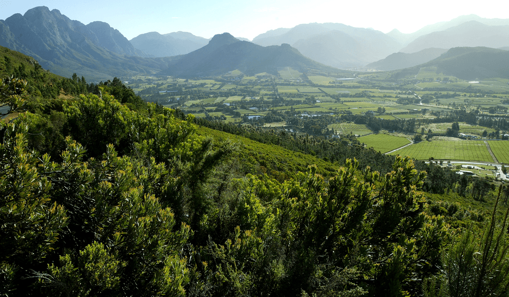 Franschhhoek en Afrique du Sud