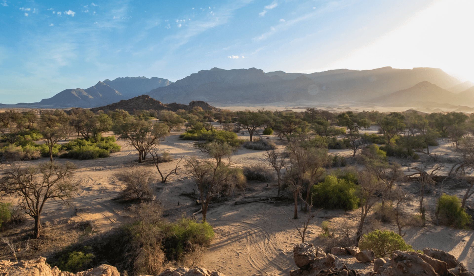 La diversité des paysages de la Namibie : un roadtrip aventureux