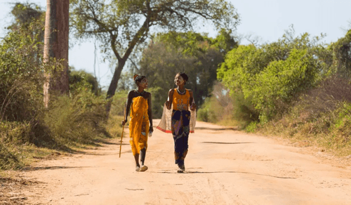La meilleure période pour visiter Madagascar