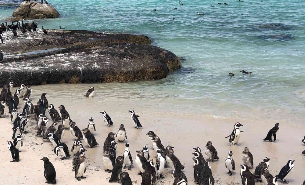 Kein Titel (1980 × 1200 px) (1200 × 628 px) (260 × 260 px) (1980 × 1200 px) (7)