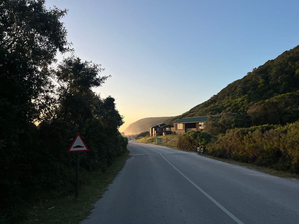 AFR_BLOG_10.25_UNSPLASH (Garden Route - Lizelle)