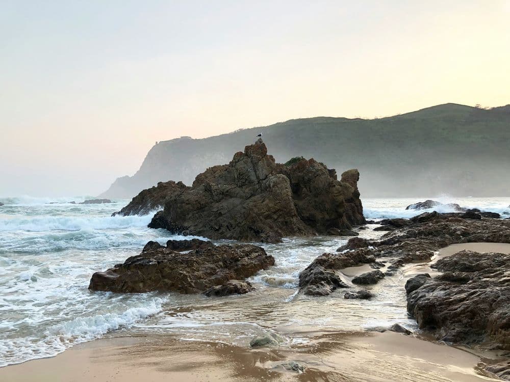 AFR_BLOG_10.25_UNSPLASH (Knysna)