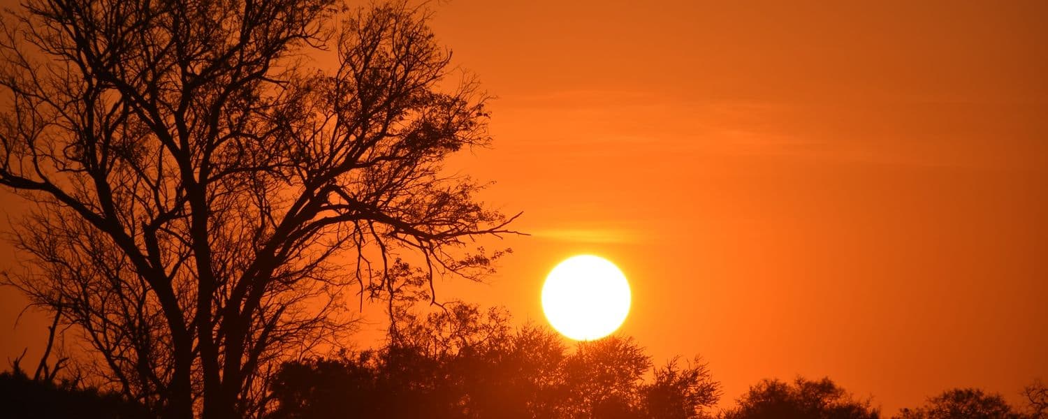 Sunset Khwai Botswana