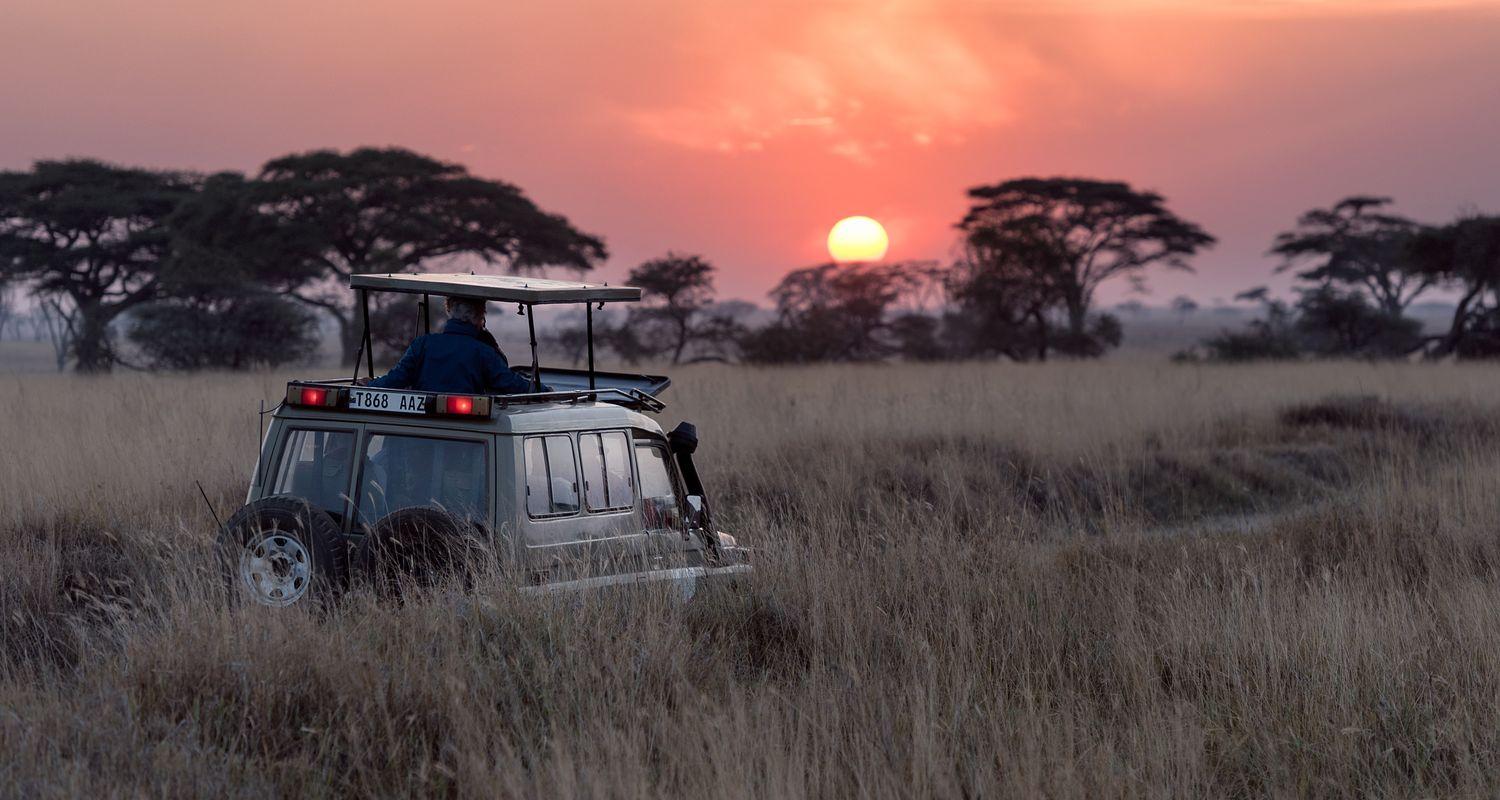 Tanzanie Safari