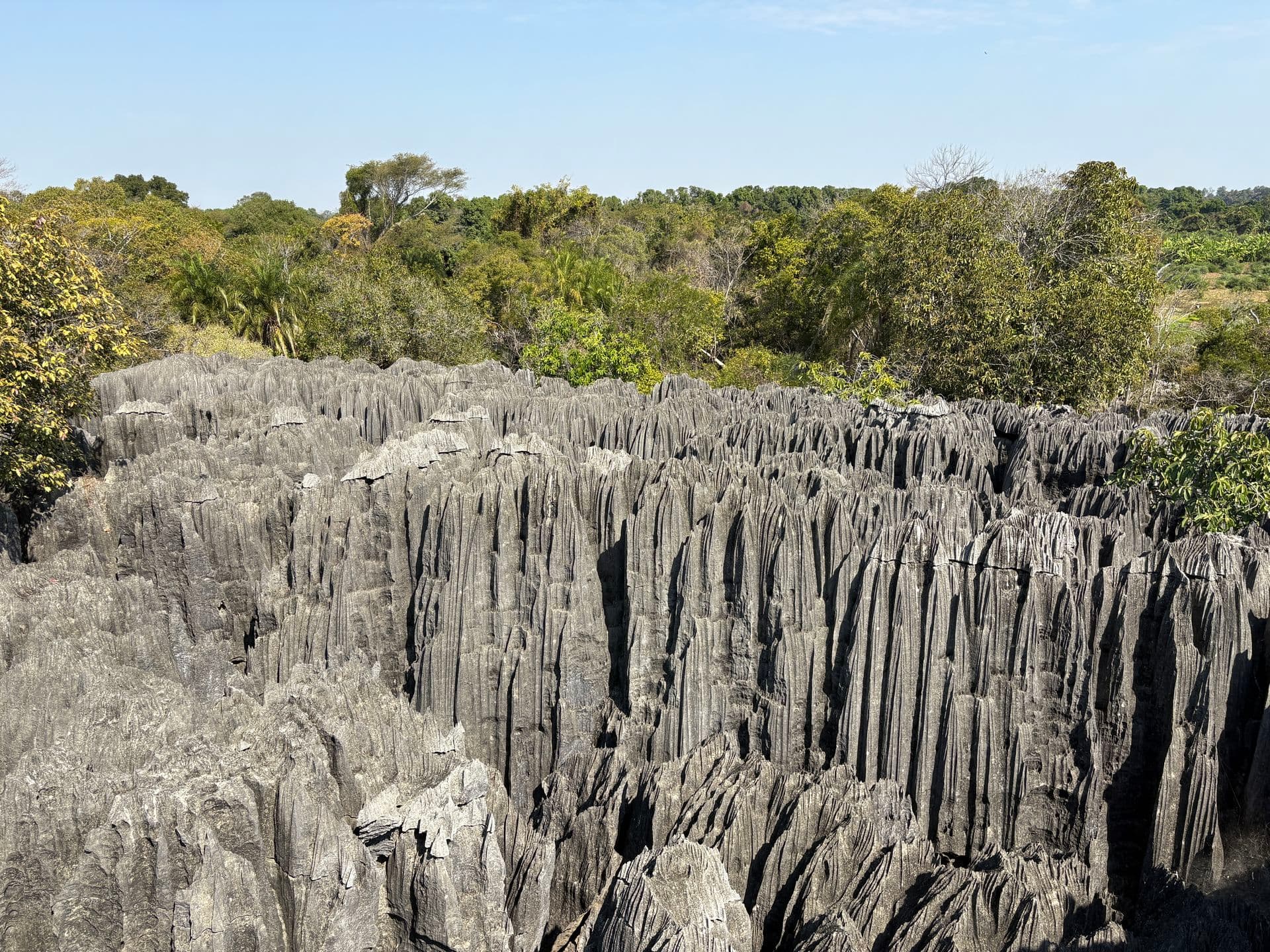 xmad 85081 Madagascar tsingy
