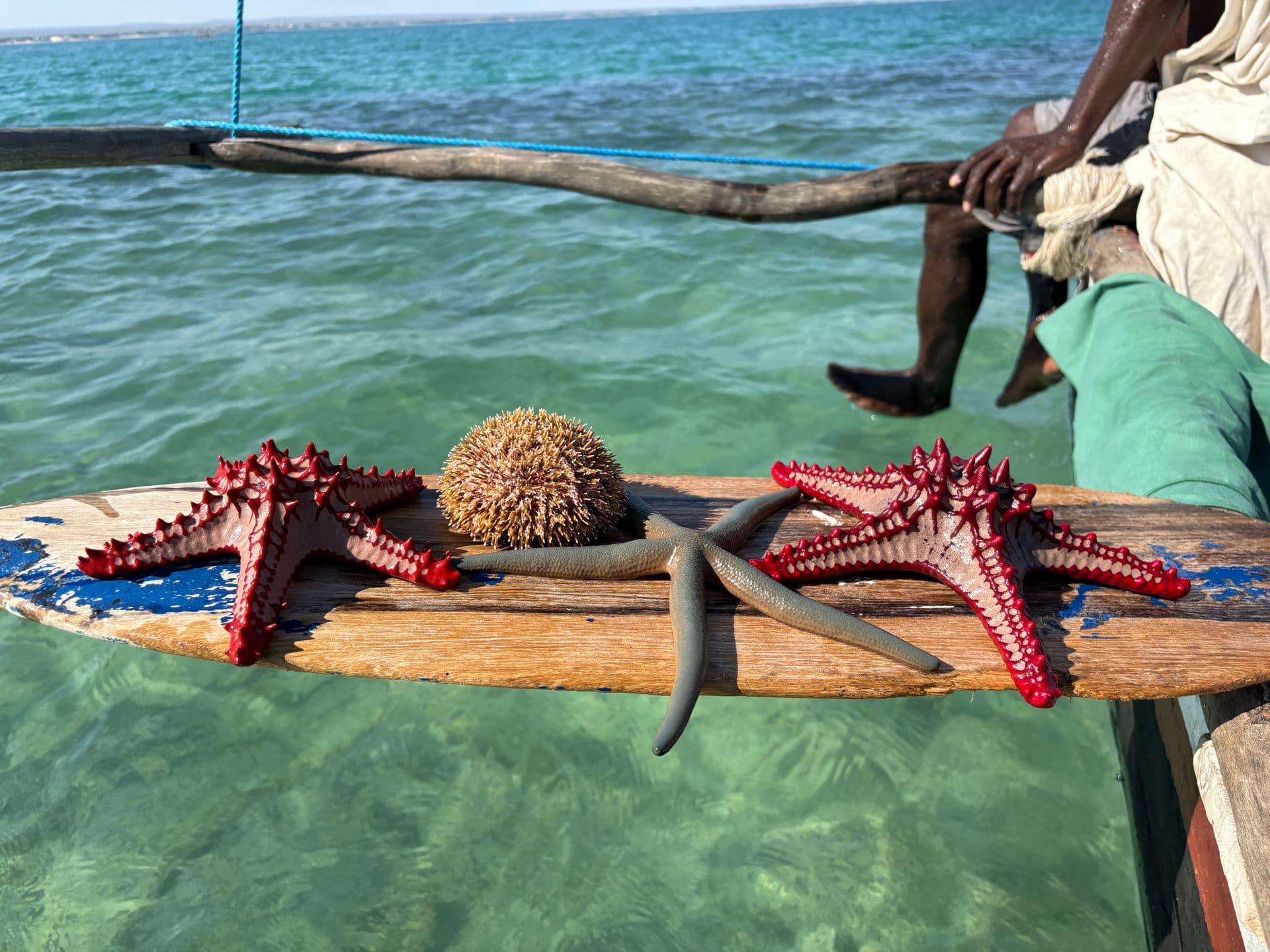 xmad 85081 madagascar ifaty