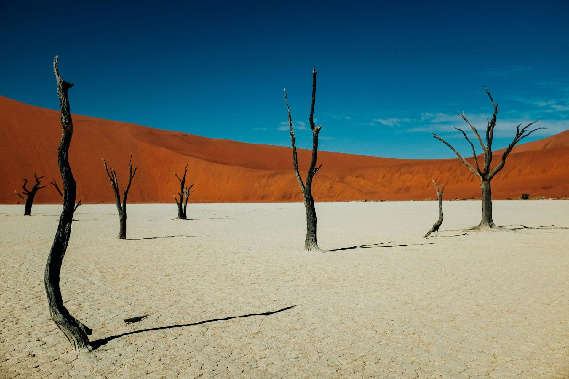 deadvlei namibia