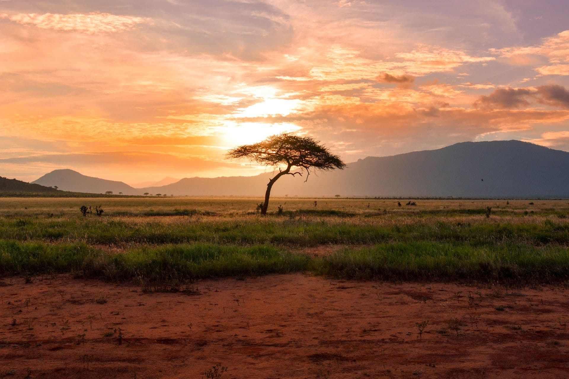 Kenya header