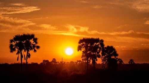 Etosha National Park Namibia