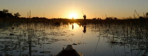Okavango Delta sunset