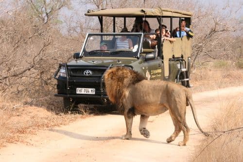 Echo Africa Gamedrive Kruger National Park