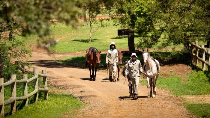 Horse riding Berghouse