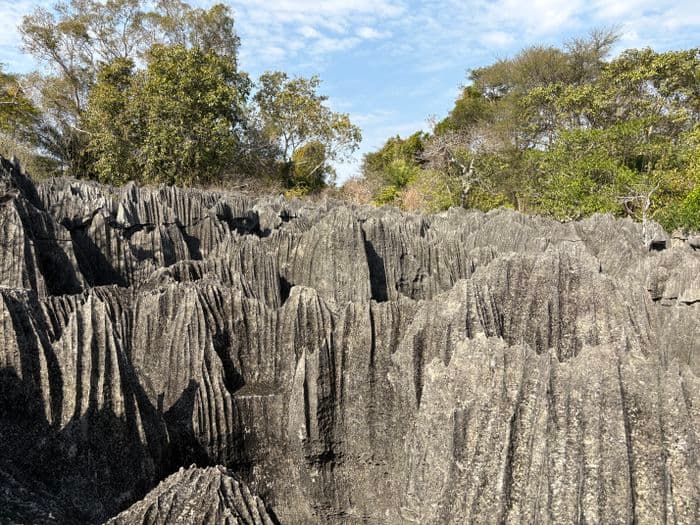 xmad 85081 madagascar tsingy