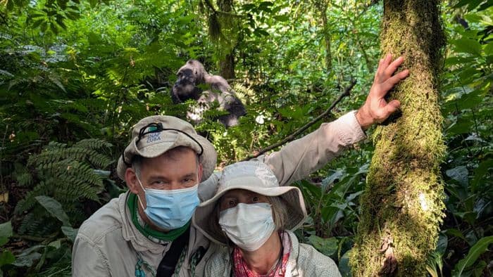 gorilla trekking bwindi