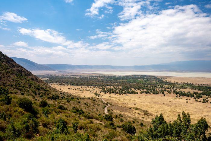 Ngorongoro Tanzania