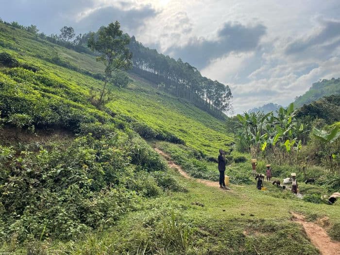 xug 86506 uganda