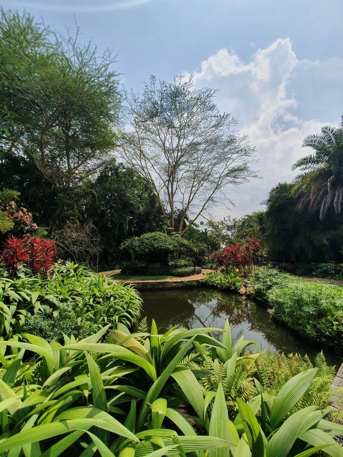 botanic garden