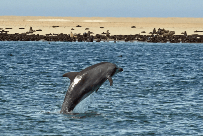 Walvis Bay & Sandwhich Harbour