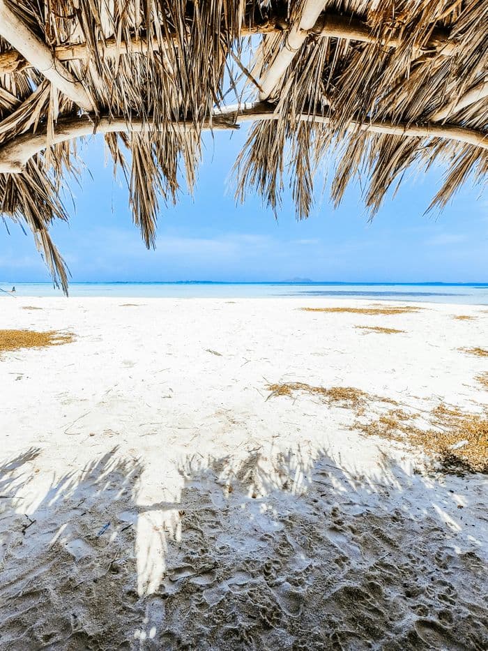 diani beach view