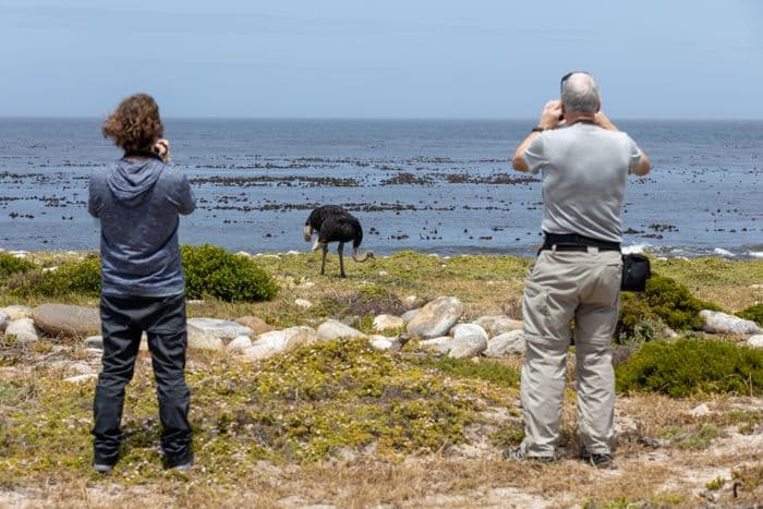 Cape Town Boulders Beach Cape Point