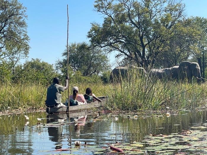 Mobile safari okavango delta