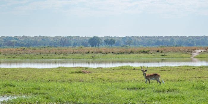 Mahango National Park Caprivi Namibia