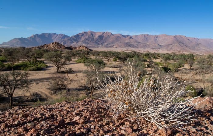 Brandberg, Damaraland