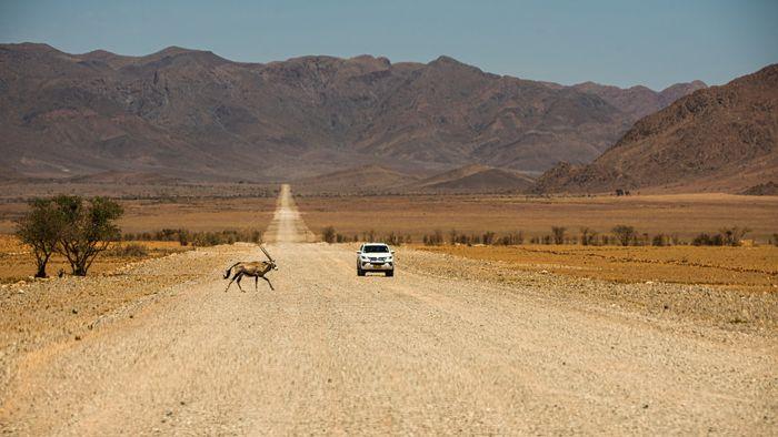 Self drive Namibia