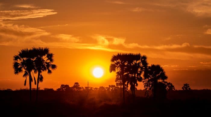 Etosha National Park Namibia