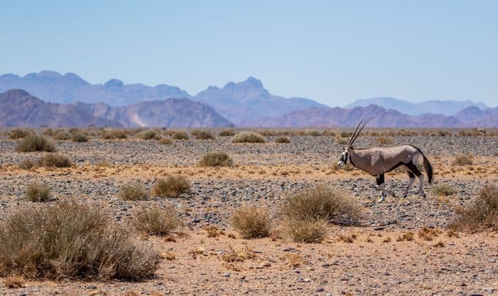 Namib Naukluft Sesriem Namibia
