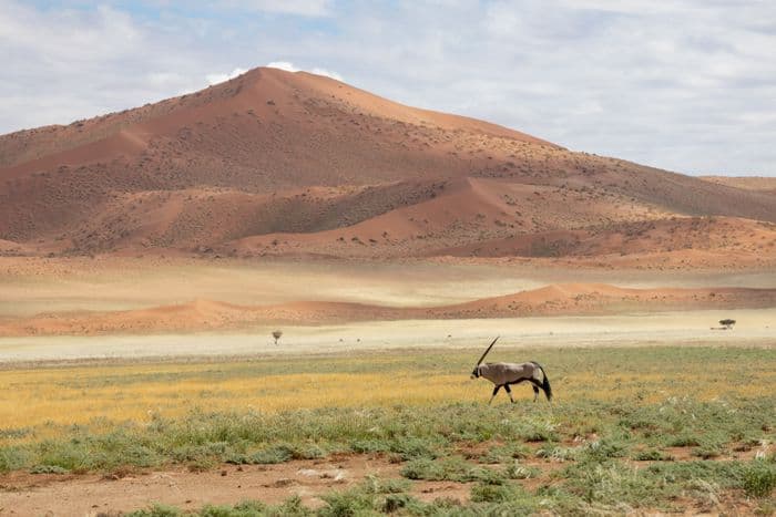 Namib-Naukluft Namibia
