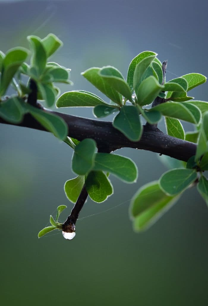 Waterberg Plateau Namibia