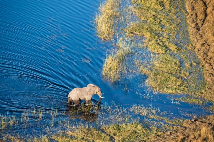 Okavango Delta Scenic Helicopter Flight