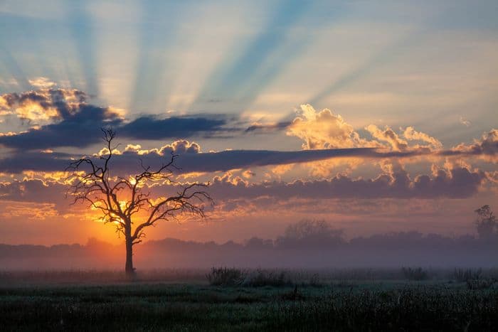 Okavango Delta