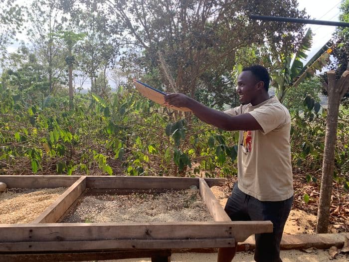 Coffee plantation Karatu