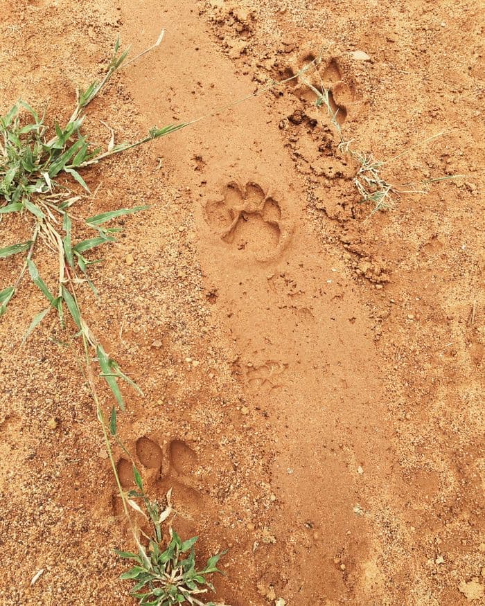 Tracking