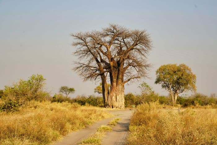 Botswana