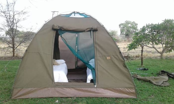 Mobile Safari Moremi