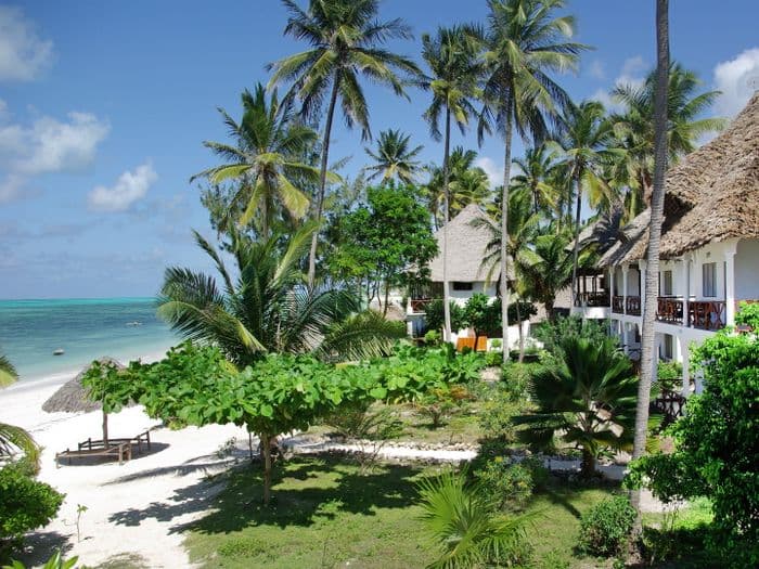 Blue Oyster Jambiani