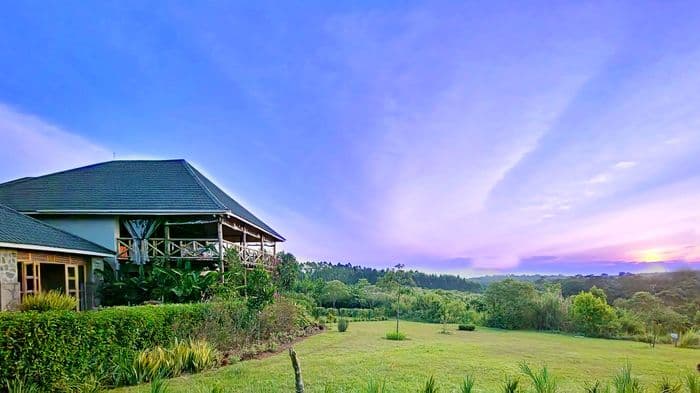 guereza canopy lodge