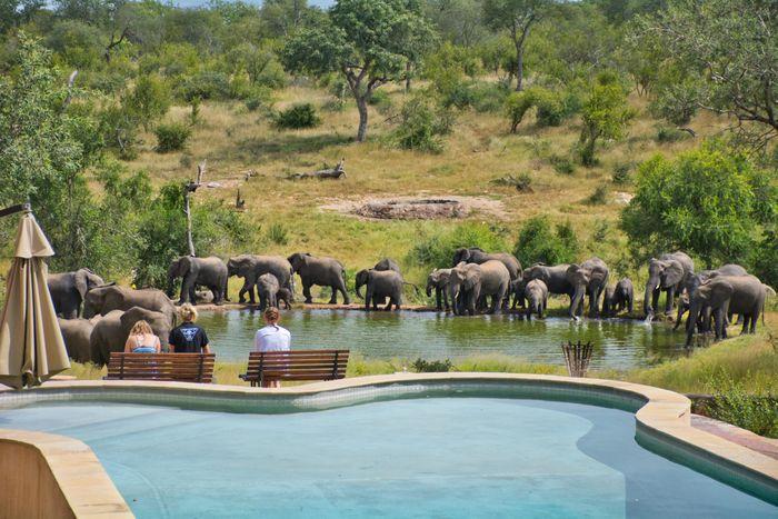 nDzuti Safari Camp, Maseke Game Reserve