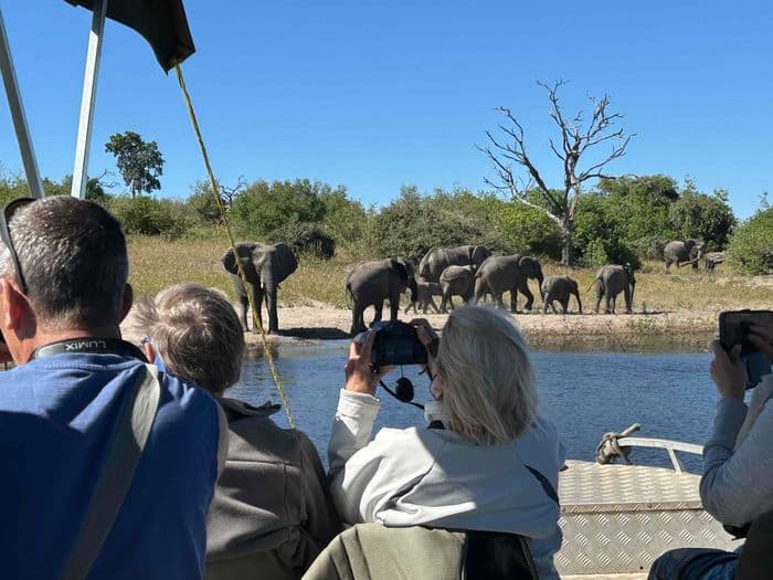 Croisière safaris