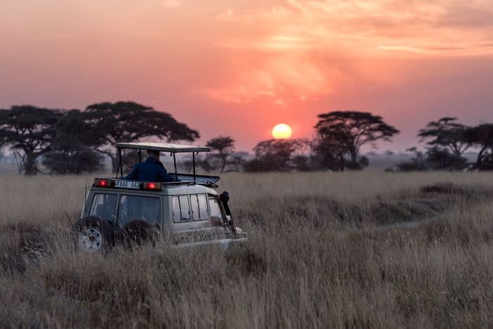 Tanzanie Safari
