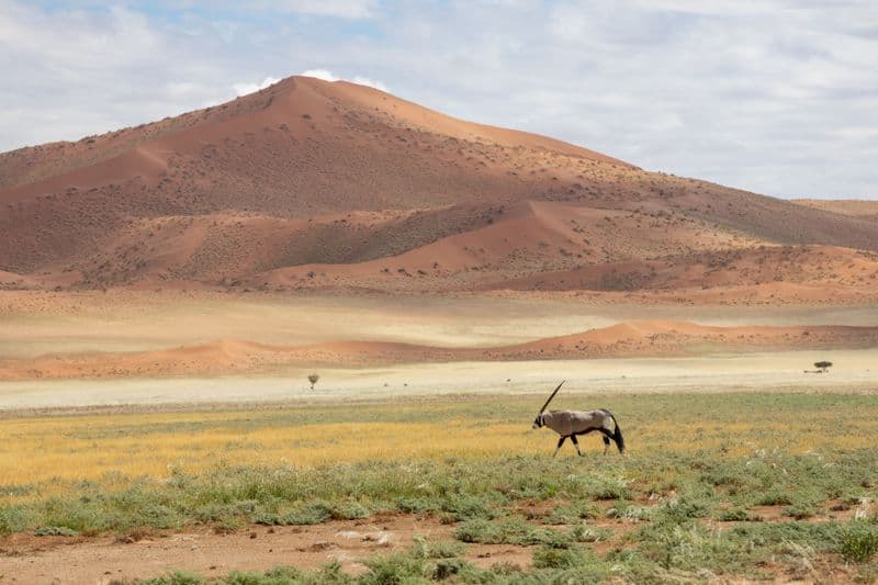 Namib-Naukluft Namibia
