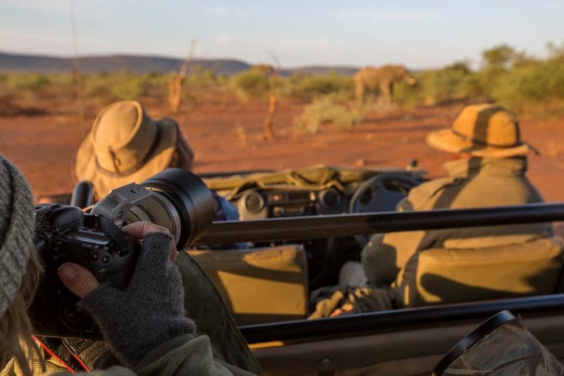 Gamedrive Safari
