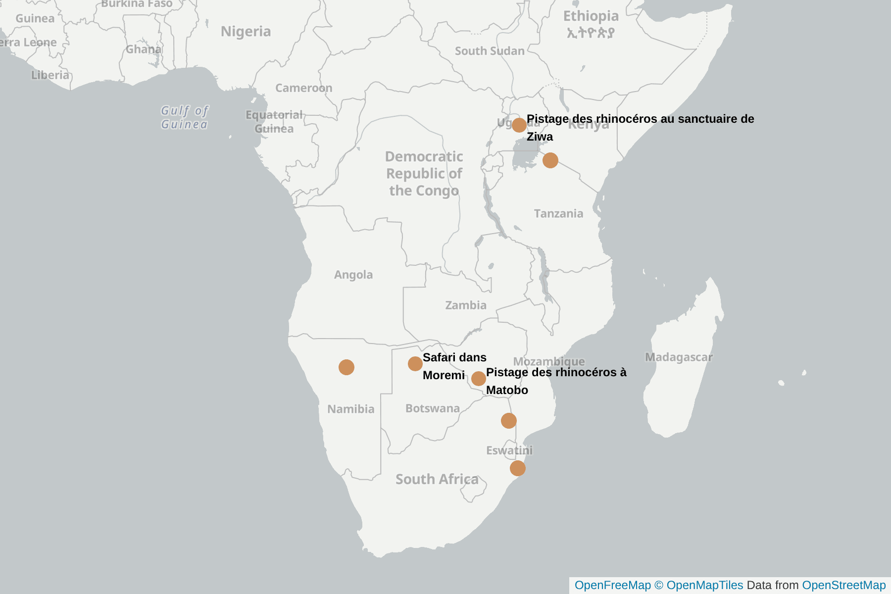 Carte de Rhinocéros blanc